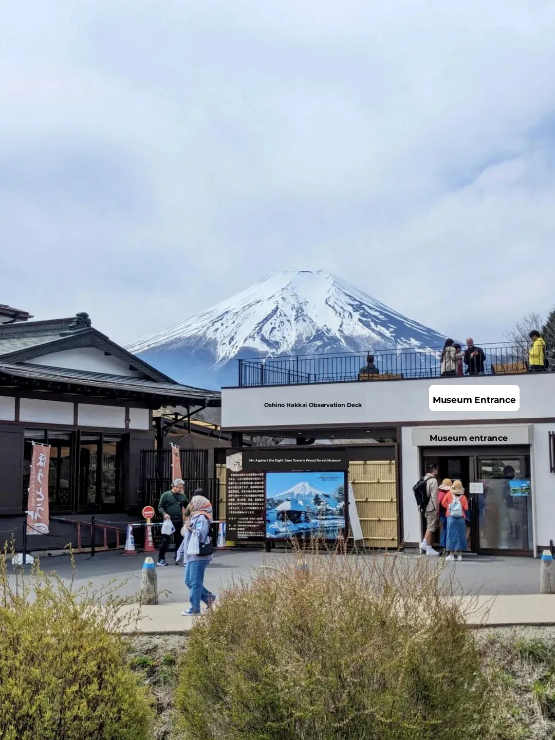 🇯🇵 Tokyo to Mt. Fuji Day Trip Guide ‼️ Everything You Need in One Post