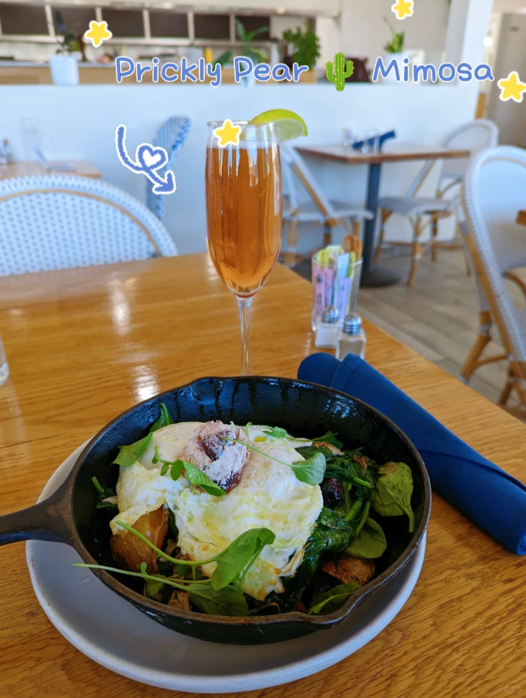 "Try Something New: Mimosa Brunch with Cactus 🌵"