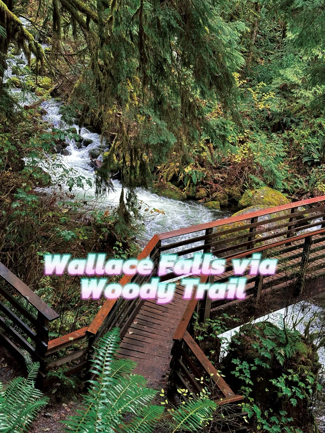 Ultimate Rainy-Day Hike