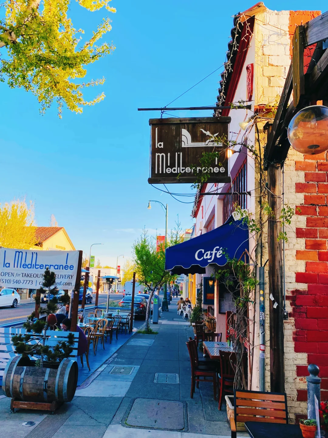 Check-in at La Mediterranee • Persian Classic: Chicken Leg with Pomegranate Sauce