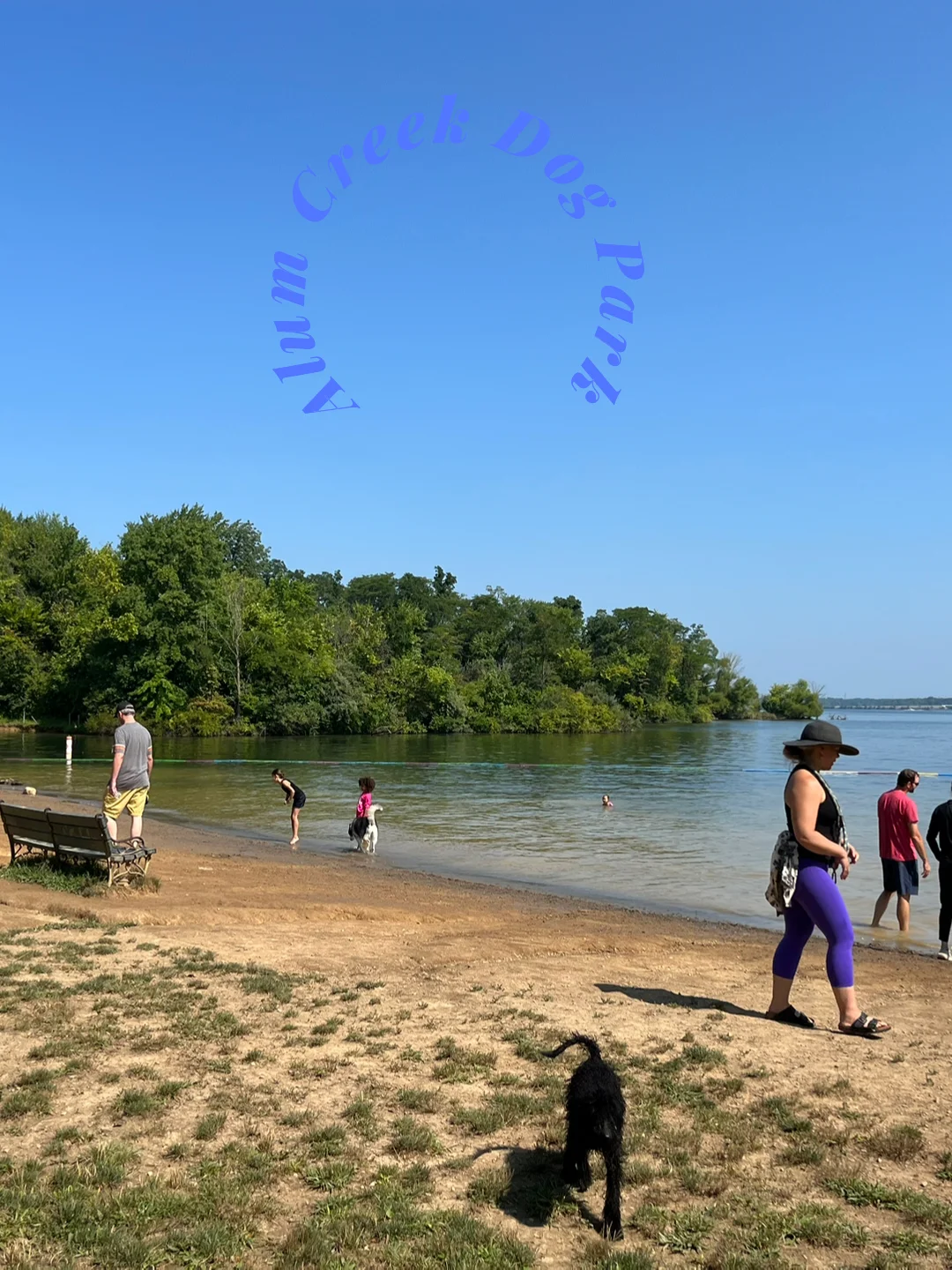 Alum Creek Dog Park