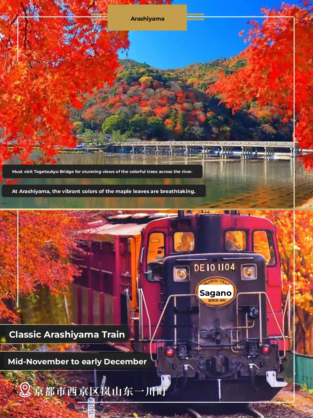 Kansai Autumn Foliage Trail / Unveiling the Hidden Maple Paradise / Finding Autumn Romance in Every Glimpse