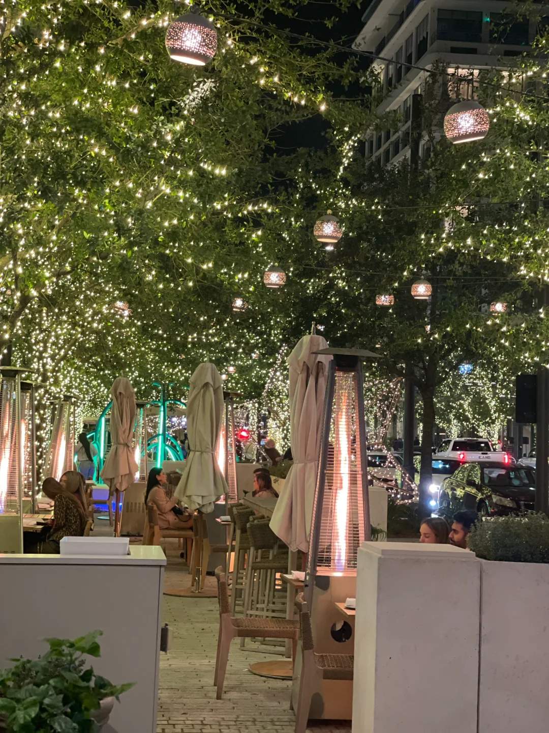 Tampa｜🧧Happy Winter Solstice❄️