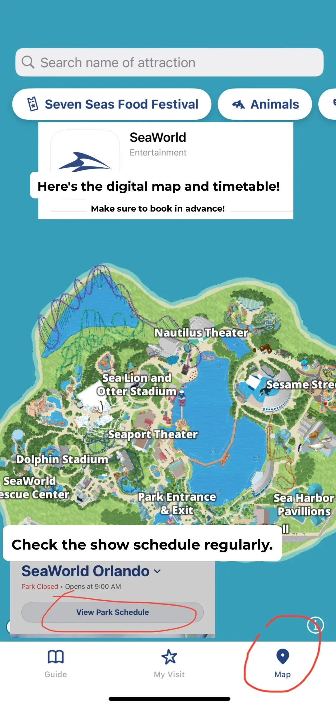 🇺🇸 Orlando SeaWorld | Roller Coasters, Shows, and Travel Guide