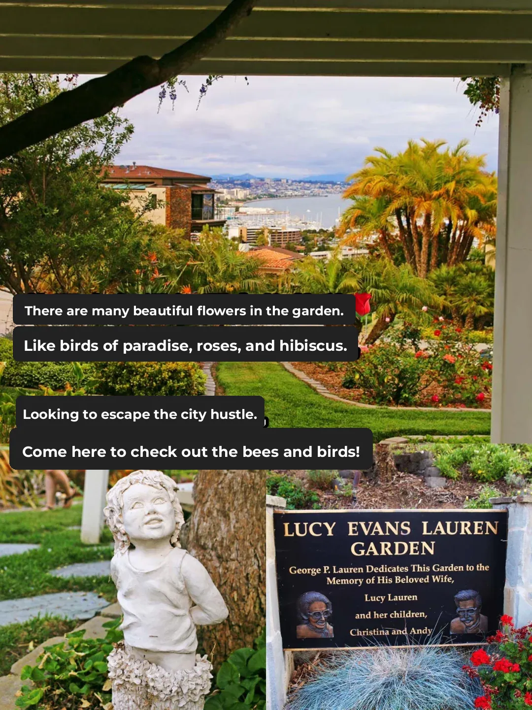 6 Hidden Gem Parks in San Diego ⛲️ Perfect for Photos & Family Outings!