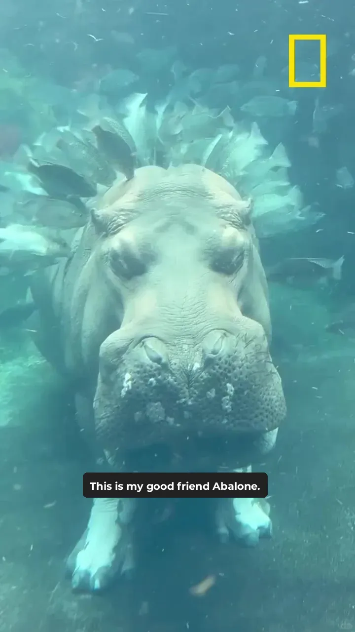 The Duration of the Treatment Depends on How Long You Can Hold Your Breath