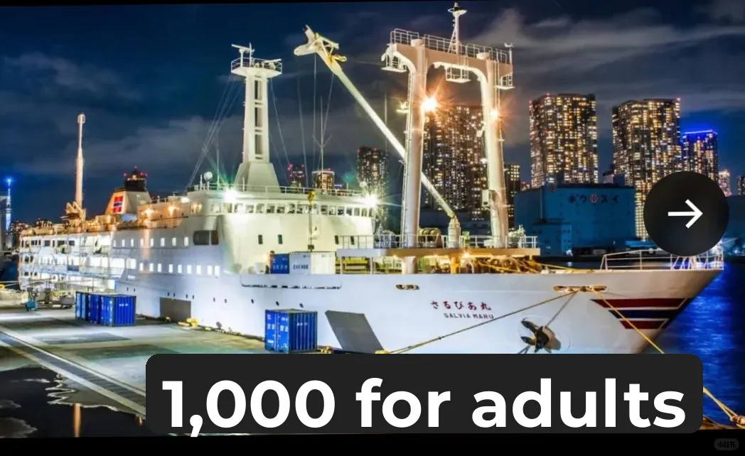 "Tokyo Night Cruise for Just 1,000 Yen | Highly Recommended"