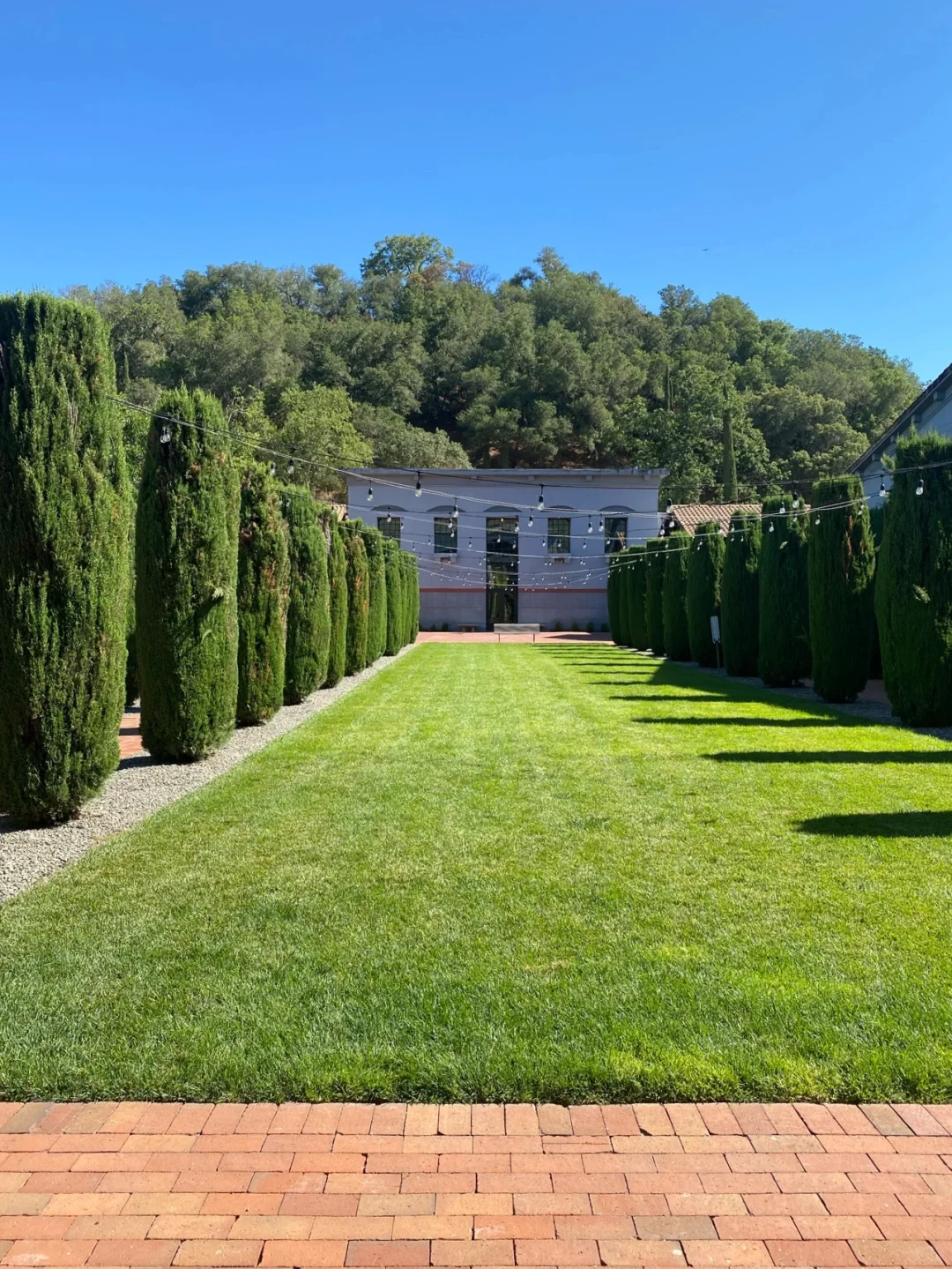 The Ultimate Guide to San Francisco Travel 🍷