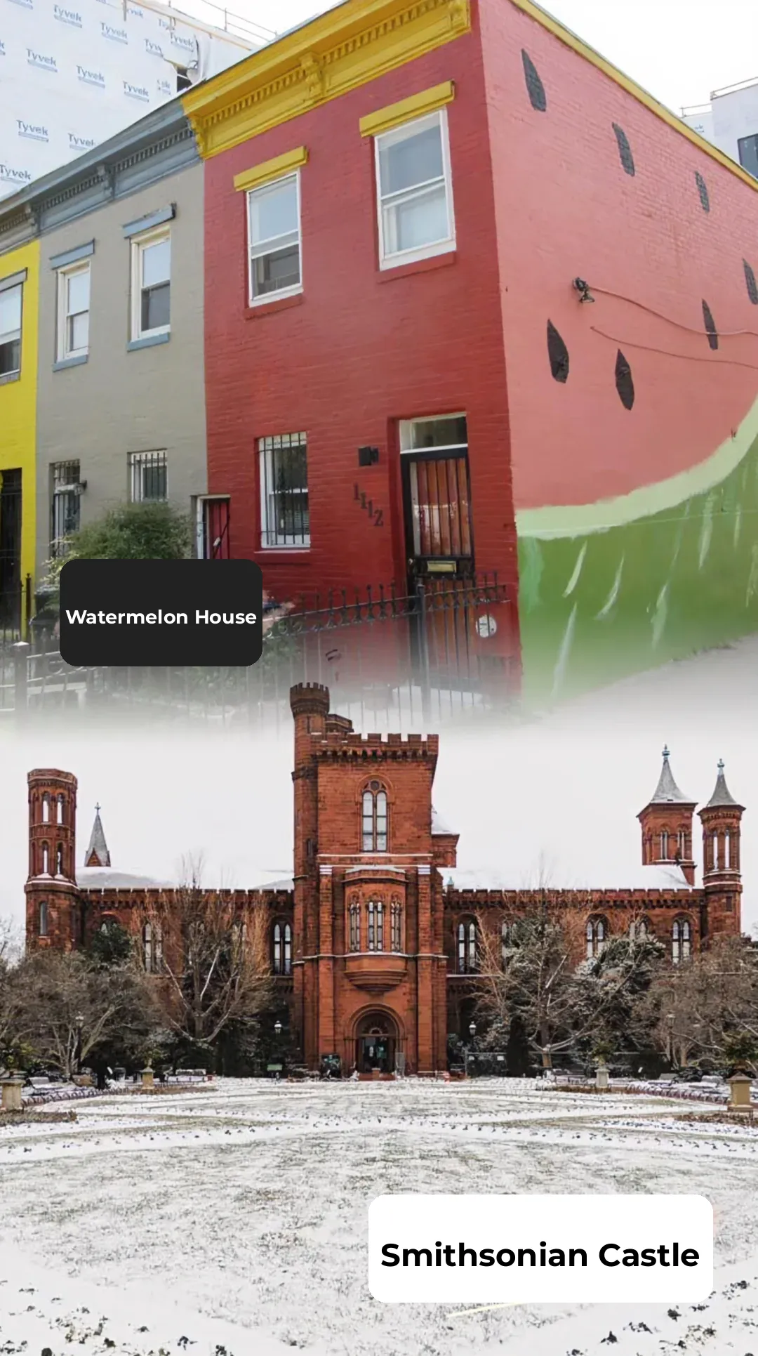 ✌️We're Super Photogenic! Snap Your Ultimate Life Photo in DC 📸