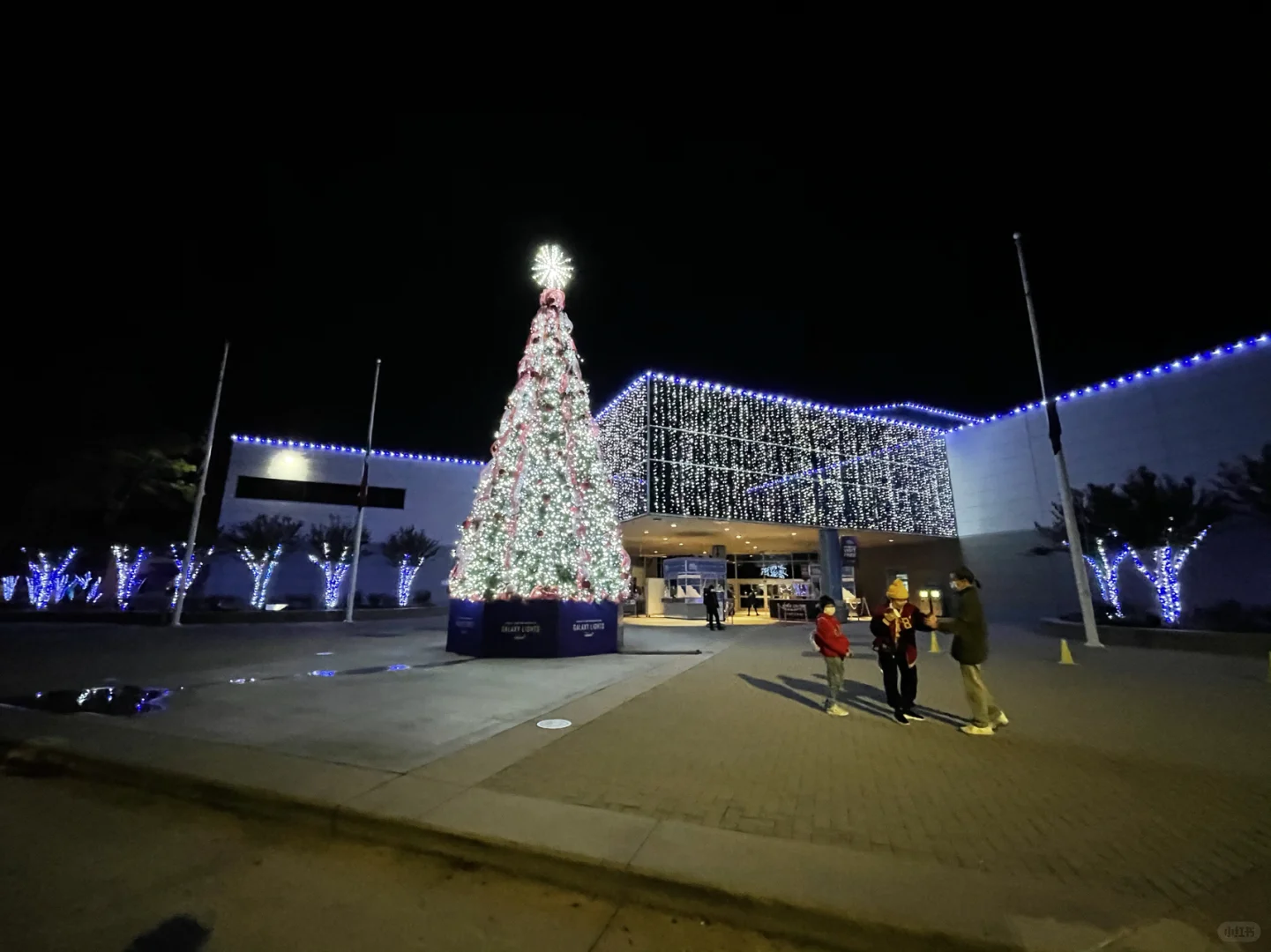 Houston | NASA Space Center Light Show & Tai Er Sauerkraut Fish