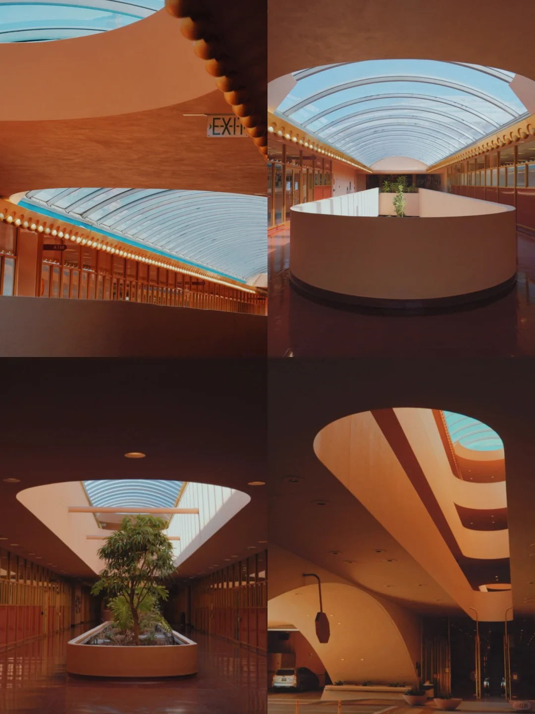 Bay Area Vibes: Wes Anderson Aesthetic