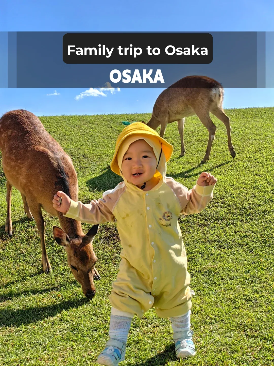 Osaka Family Trip | Ultimate Kansai Family Travel Guide