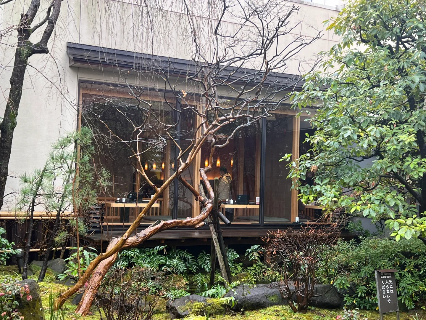 Japan📍Don’t Miss These Hot Springs Along the Yamanote Line! ♨️