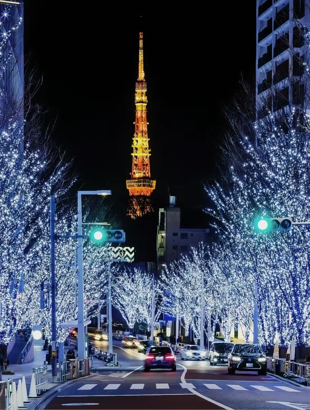 First Time in Tokyo's Roppongi Hills for the Illuminations? Here's How to Do It Like a Pro!