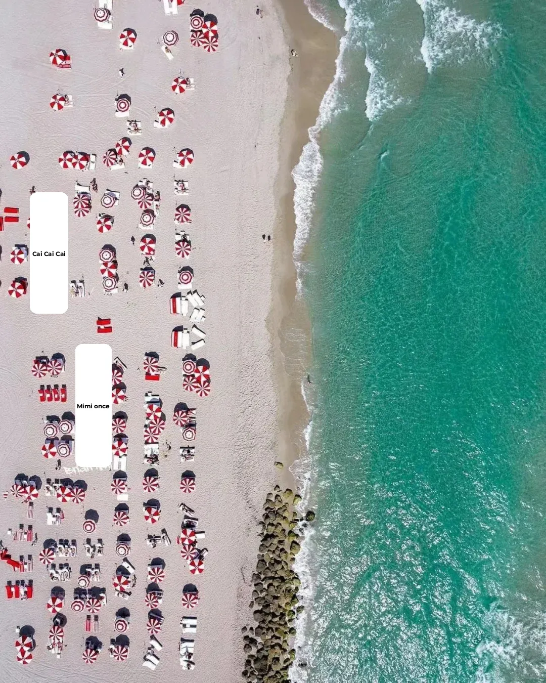 Top Romantic Activities to Do in Miami 🌹