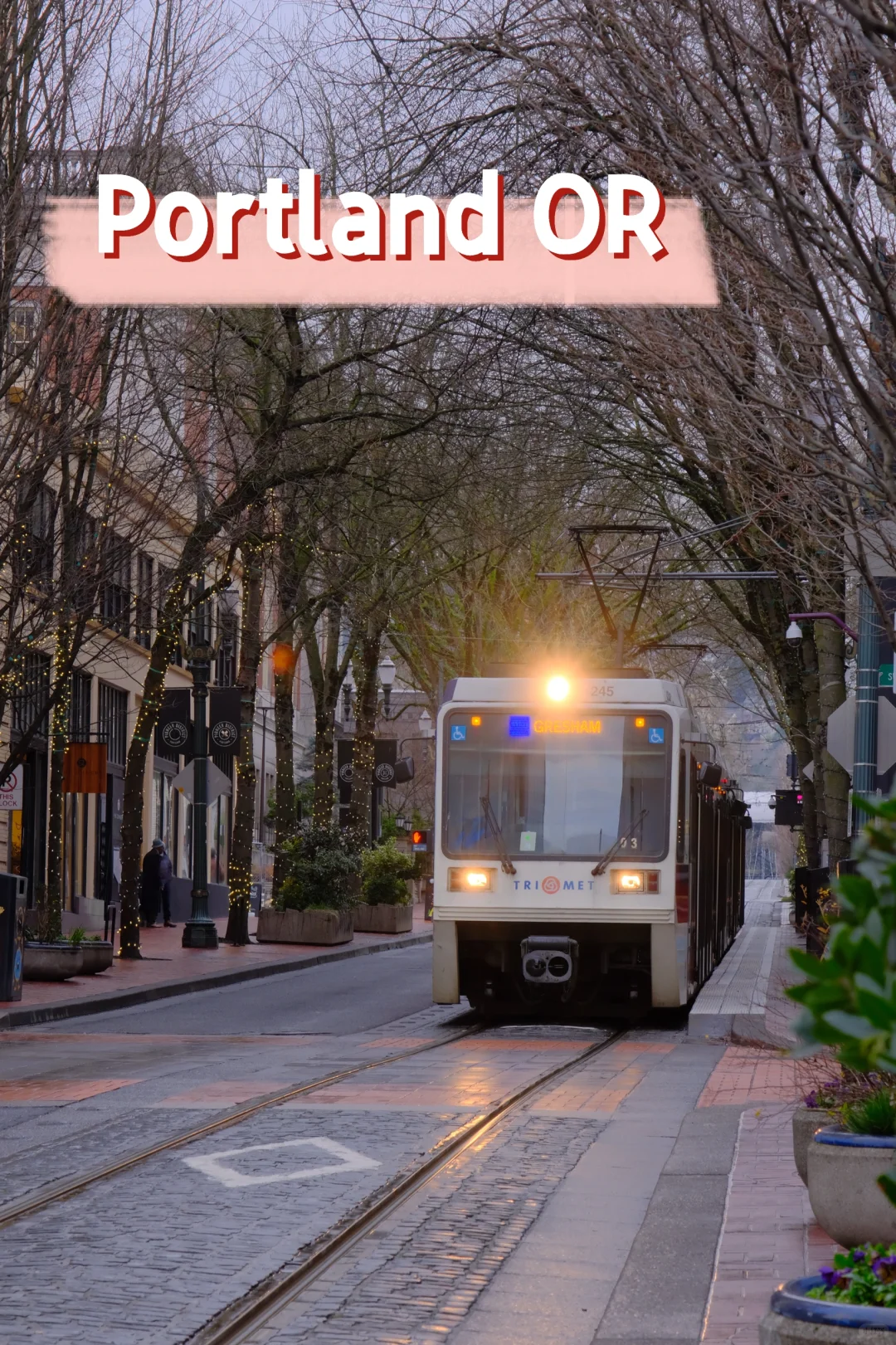 "4-Day Christmas Experience in Portland"