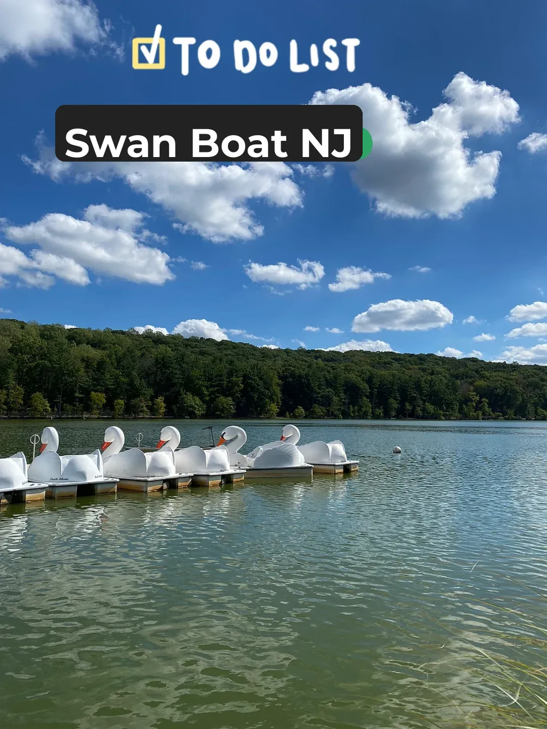 🦢 New Jersey | Swan Boat & Mini Train Day Trip Guide 🦝🐢🦒