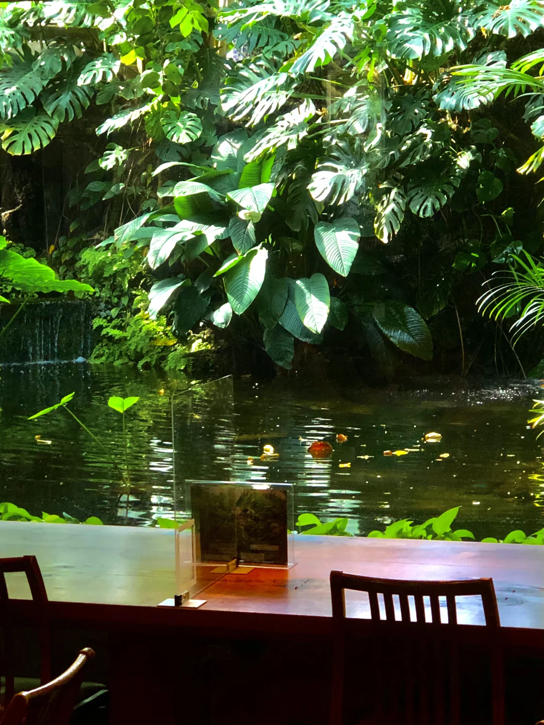 Tokyo | Dream Island Tropical Botanical Garden | Chill Vibes 🌿