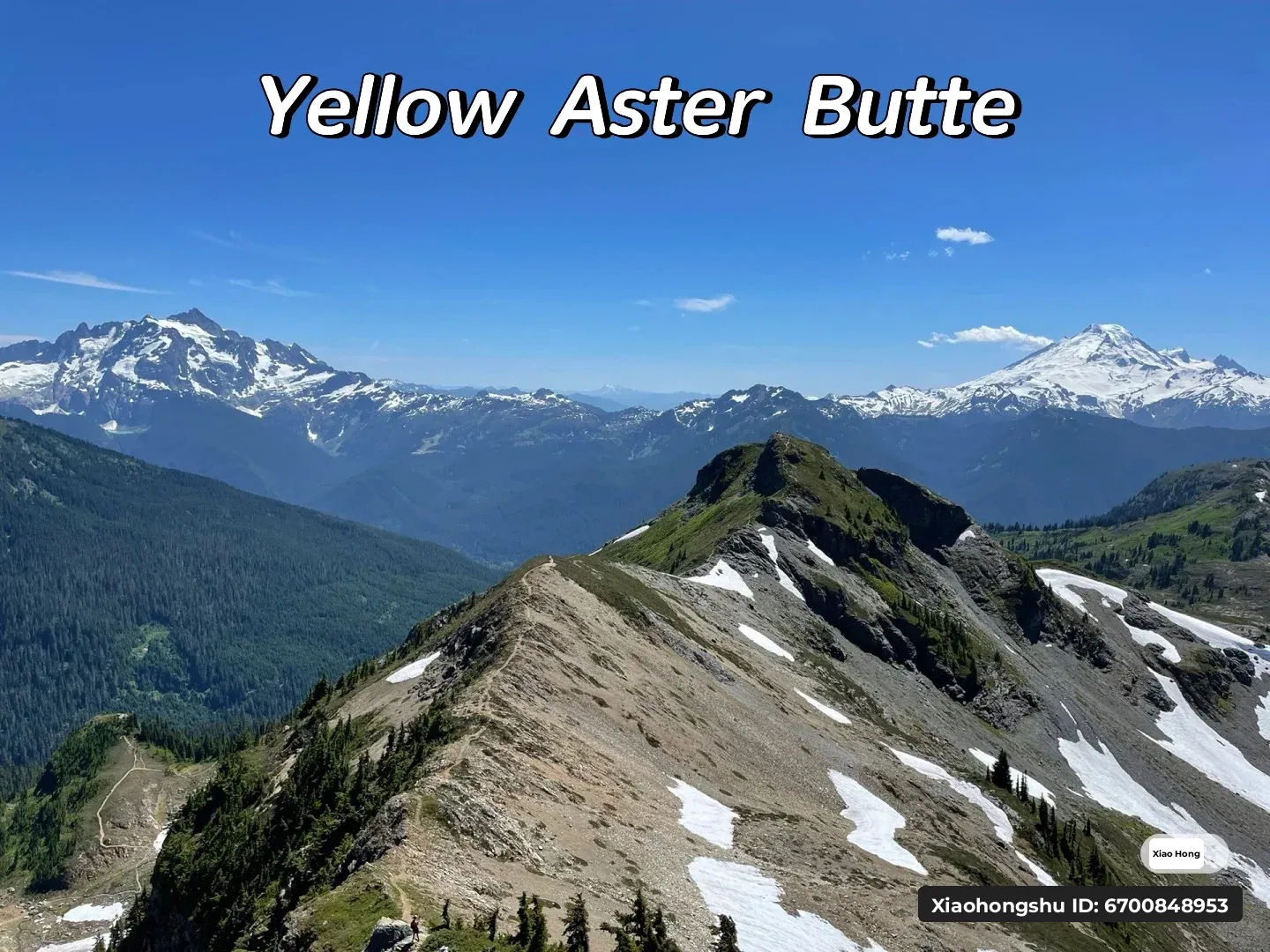 My Top 10 Trails in Washington