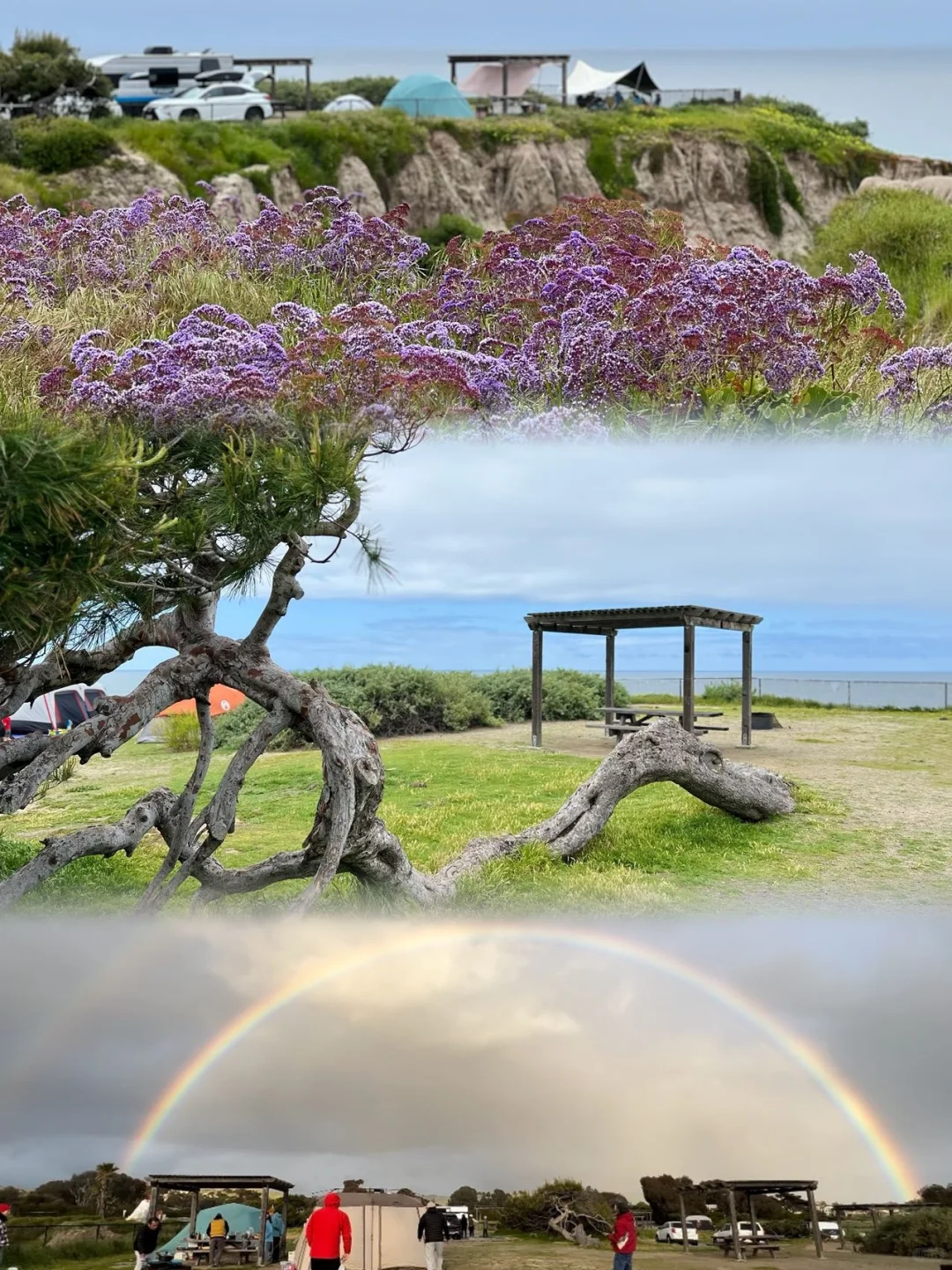 Amazing Beachside Campground in Los Angeles