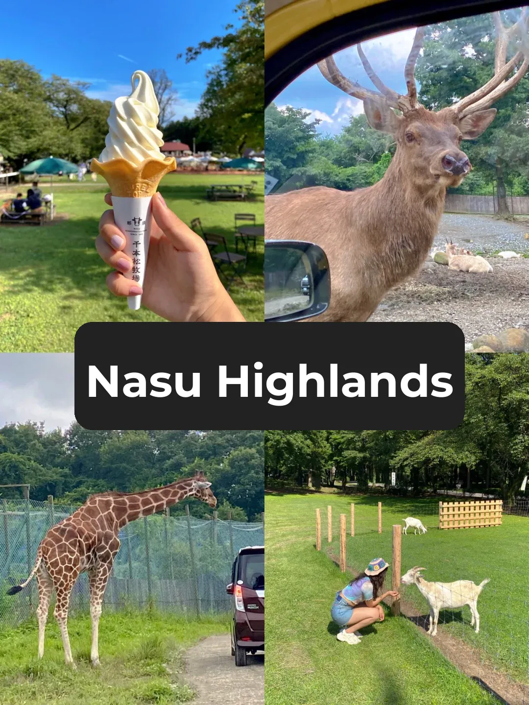 Nasu Highland Ultimate Guide: Farms/Zoo/Museum Roundup