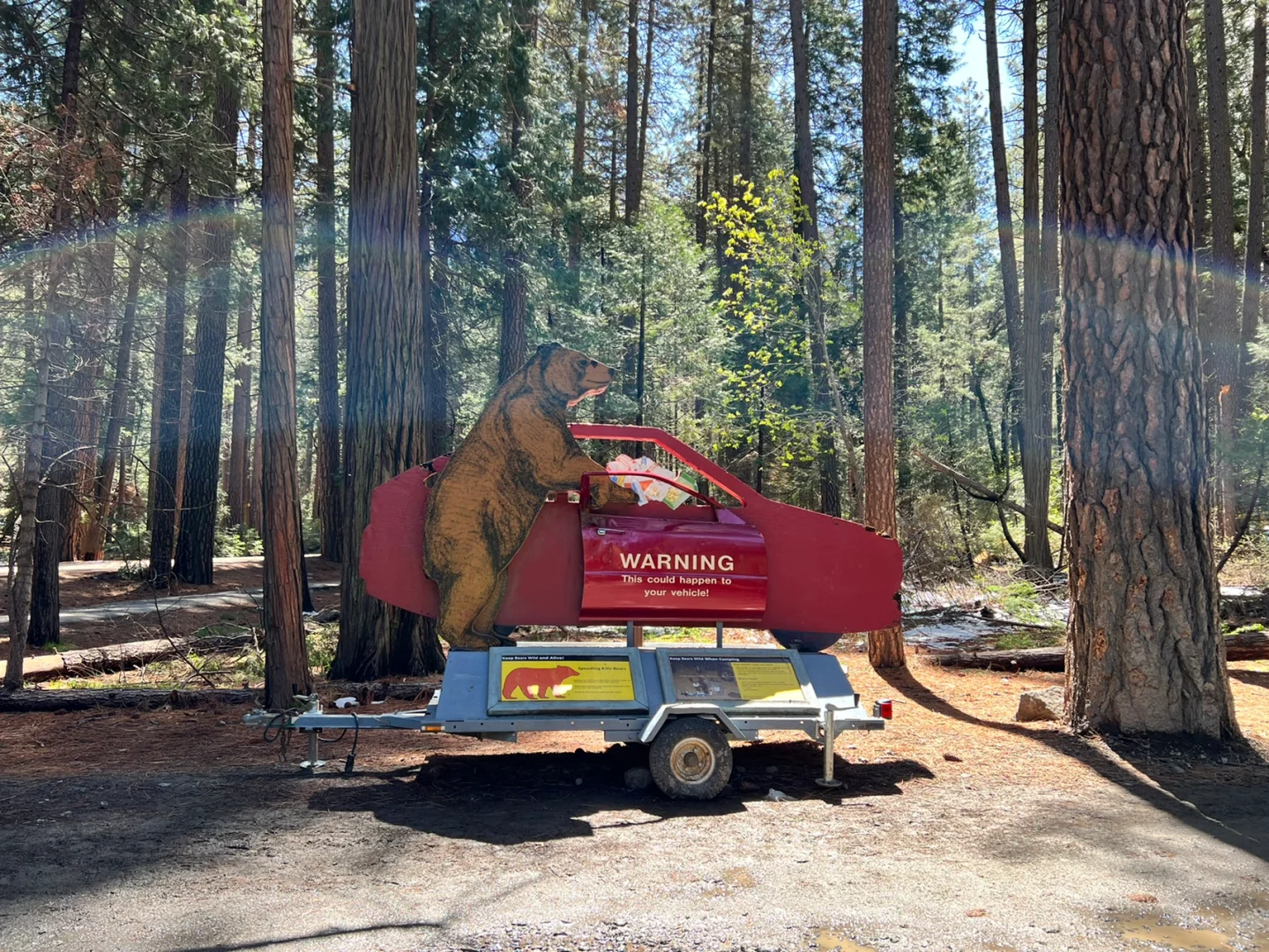 Best Way to Explore: The Ultimate Guide to Yosemite National Park