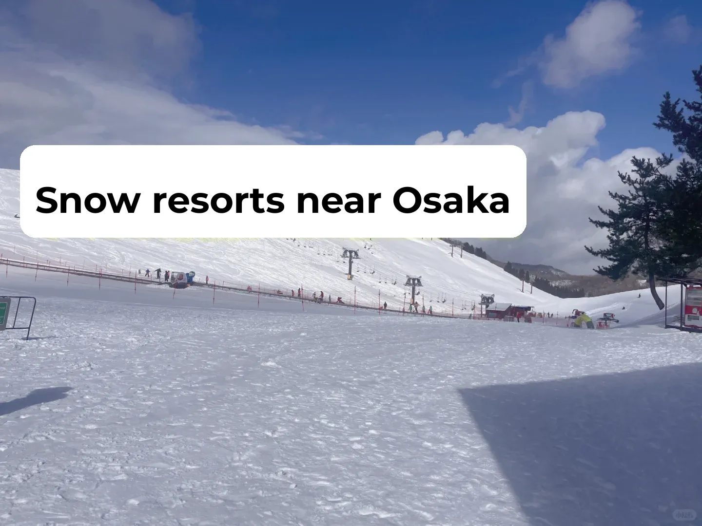 Hidden Gem Ski Resort: 2.5-Hour Drive from Osaka (Beginner-Friendly)
