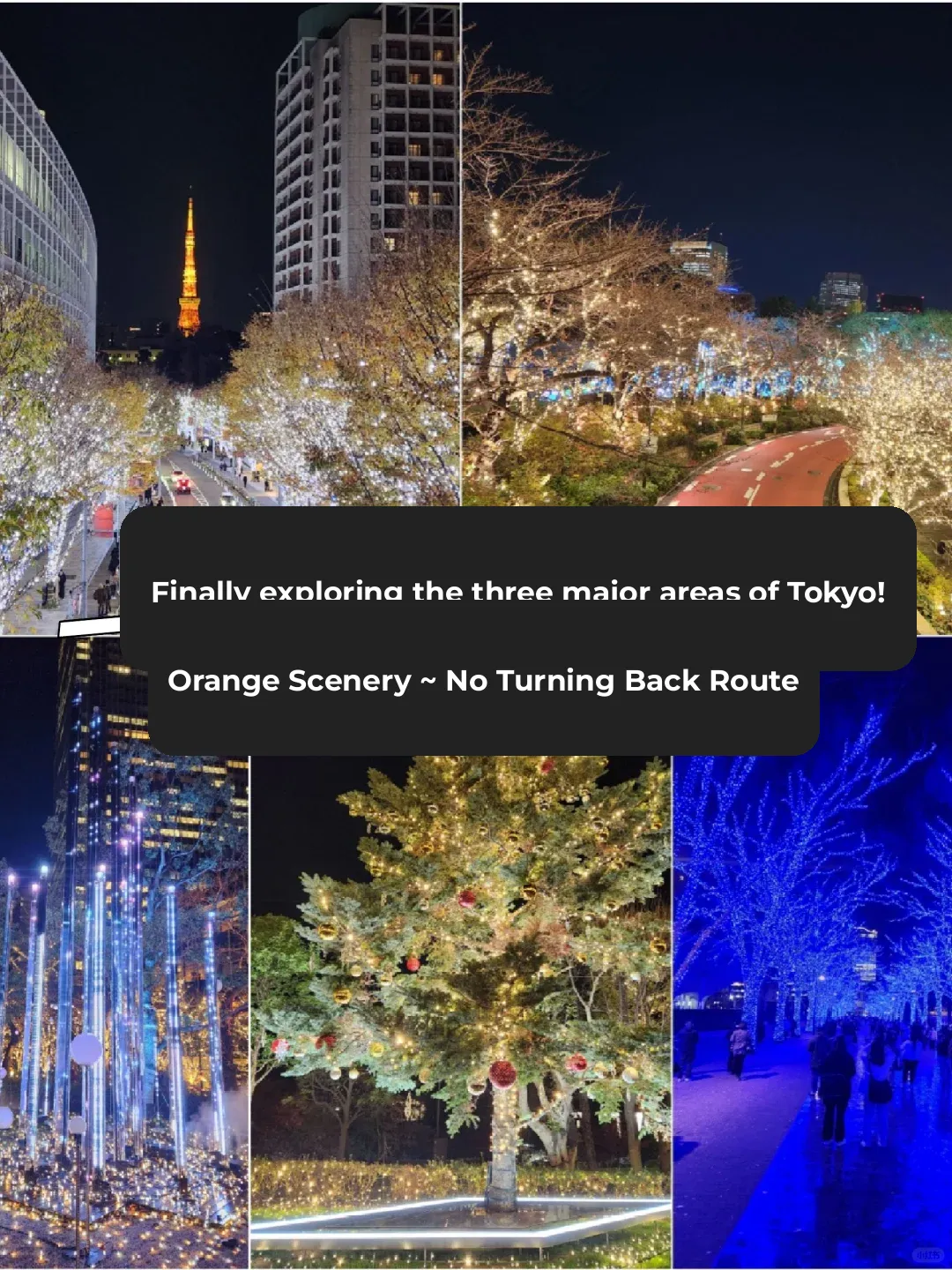 "Explore Three Iconic Tokyo Christmas Light Displays in One Night: A No-Backtracking Route"