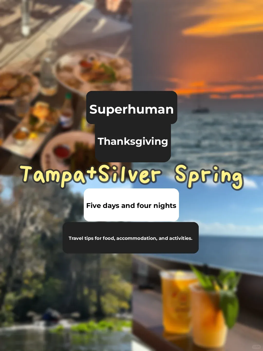 A Must-See (Not Really) Guide to Tampa for Thanksgiving • Part 1