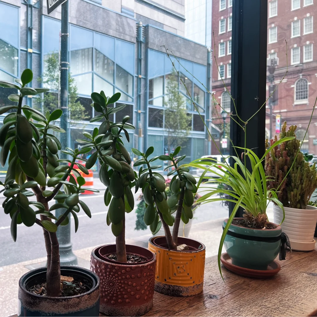 Philadelphia | A Restaurant That’s Hyped on Xiaohongshu But Actually Terrible