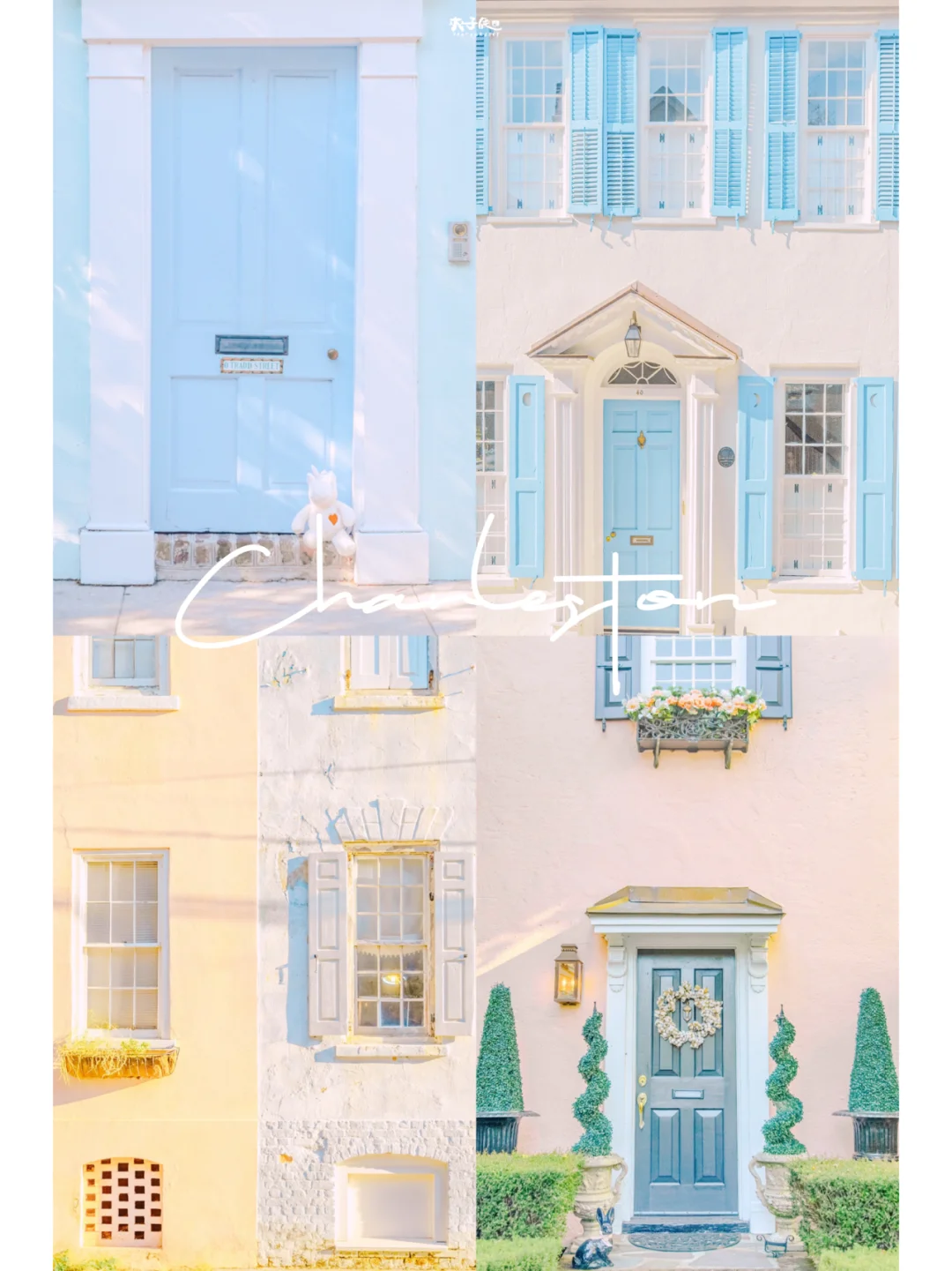 Ultra-Dreamy Exclusive Guide🧚🏻 Charleston's 7 Most Stunning Garden Walls