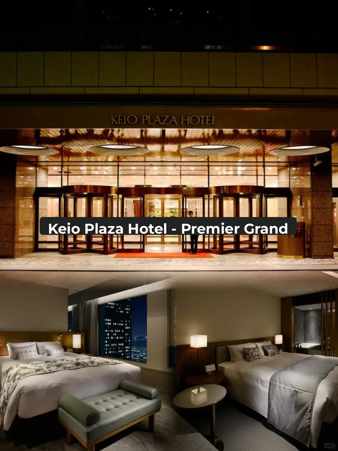 Tokyo Free & Easy Travel: 10 Accommodation Recommendations with Area Analysis