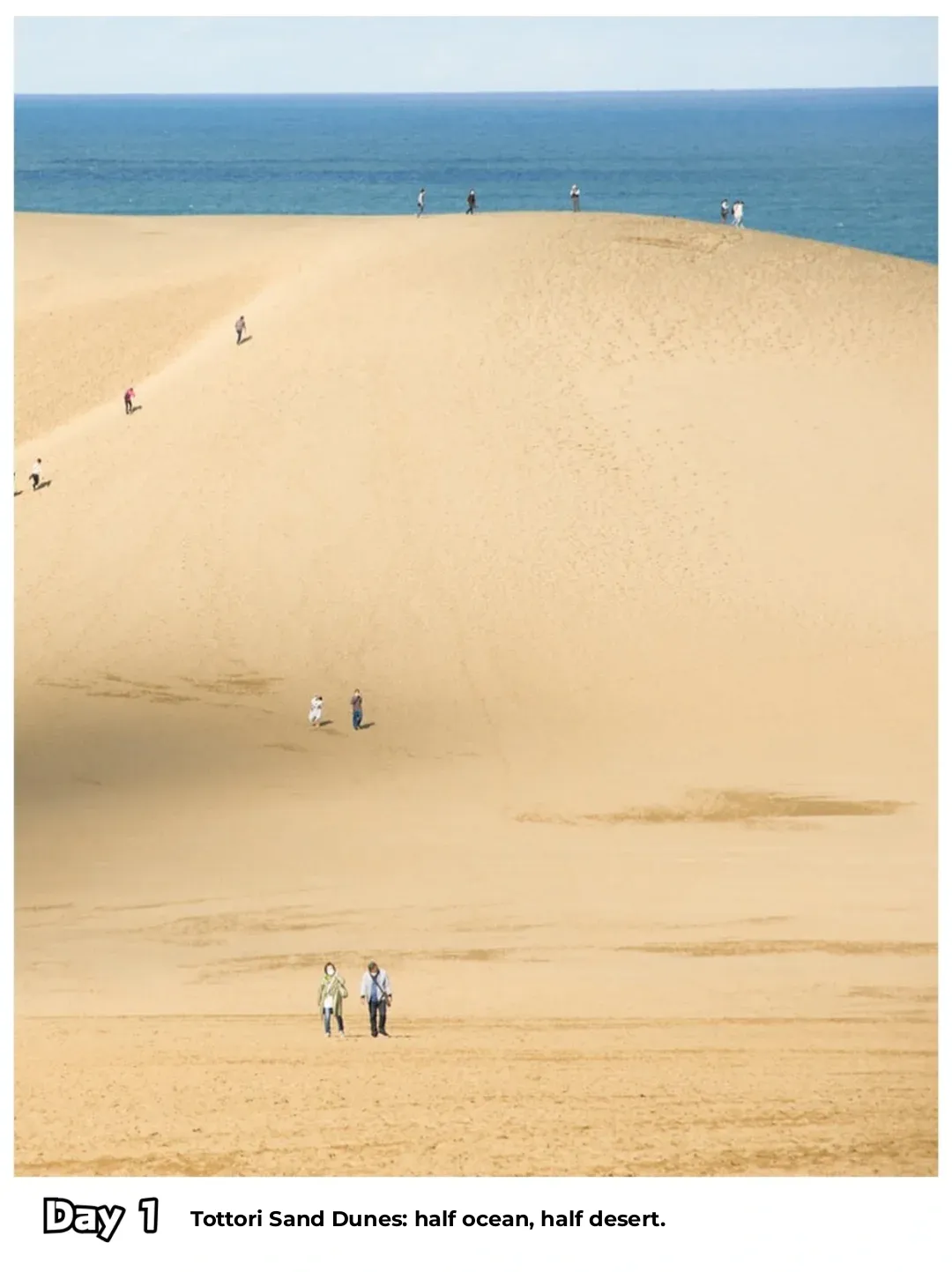 Japan's Shikoku is Seriously Fun! The Ultimate Underrated Travel Gem