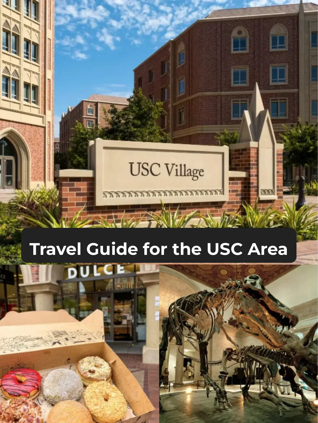 🇺🇸 USC Area Travel Guide!