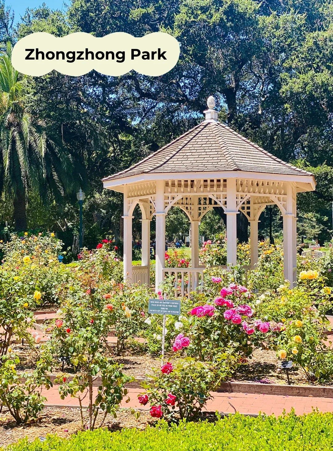 San Mateo Adventure • Japanese Garden ⛩ Seal Point Park 🌊 Coyote Point Park ⛱