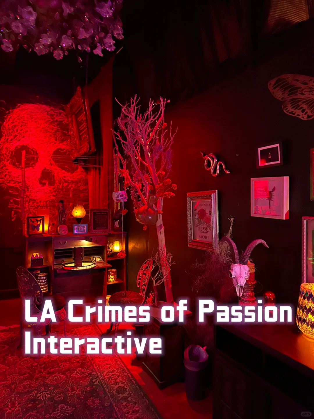 Hidden Gem Date Spots in Los Angeles