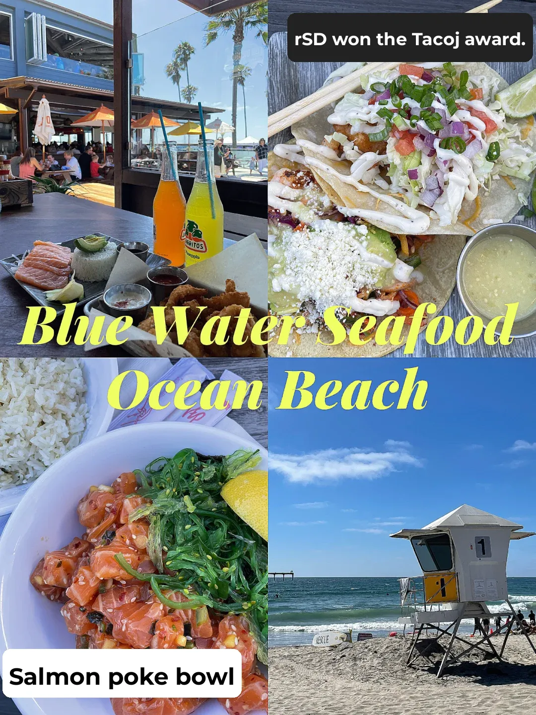 My Favorite Spot in San Diego This Summer 🐟 Visited 5 Times