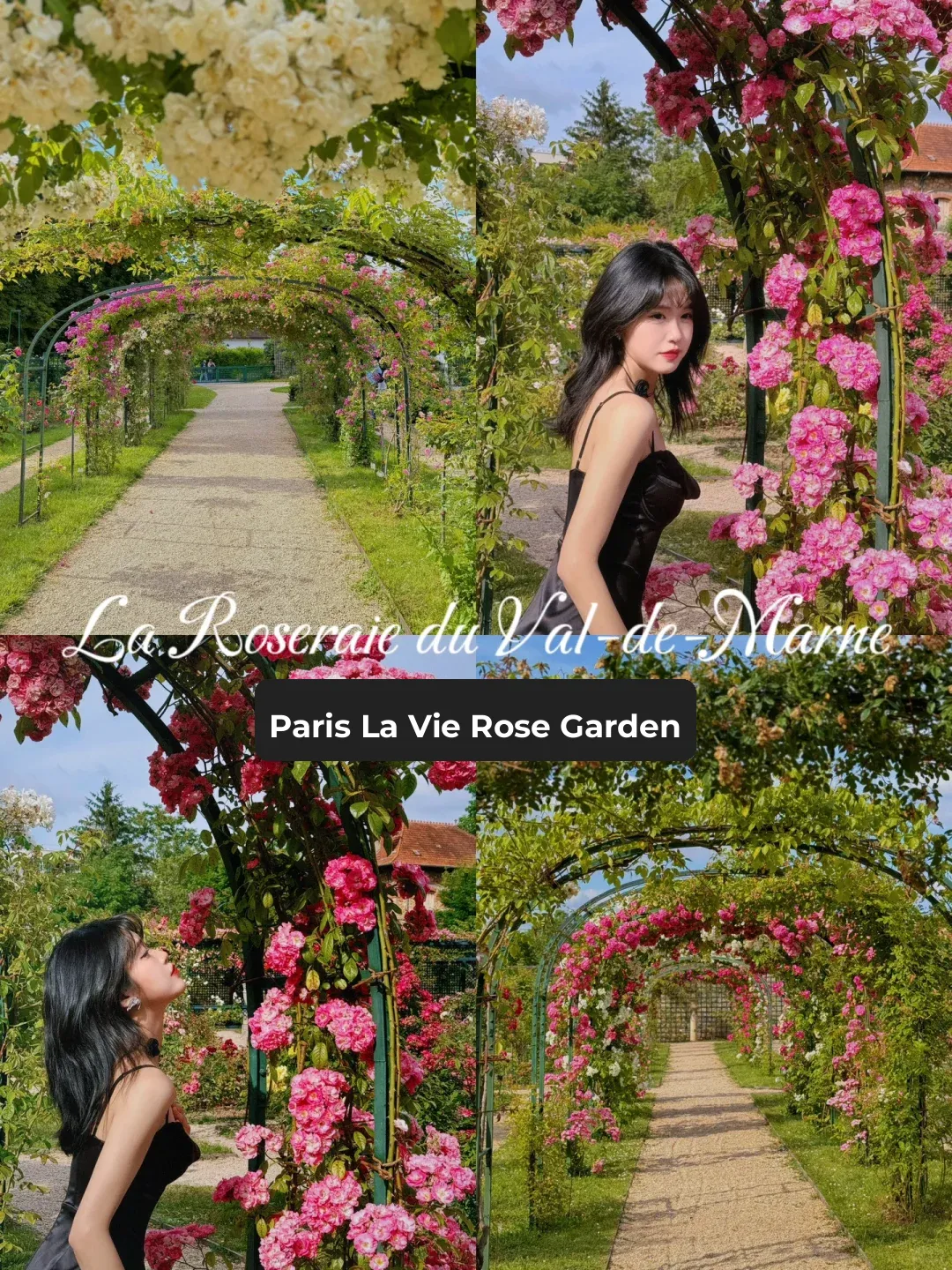 Paris | Escape to the Rose Garden for a Weekend Daydream 💐
