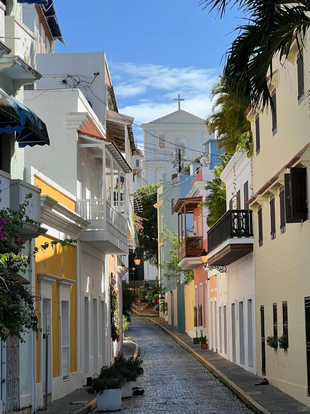 The Latest Situation in Puerto Rico! 😭😭 Hotel Prices Have Plummeted Like Crazy!