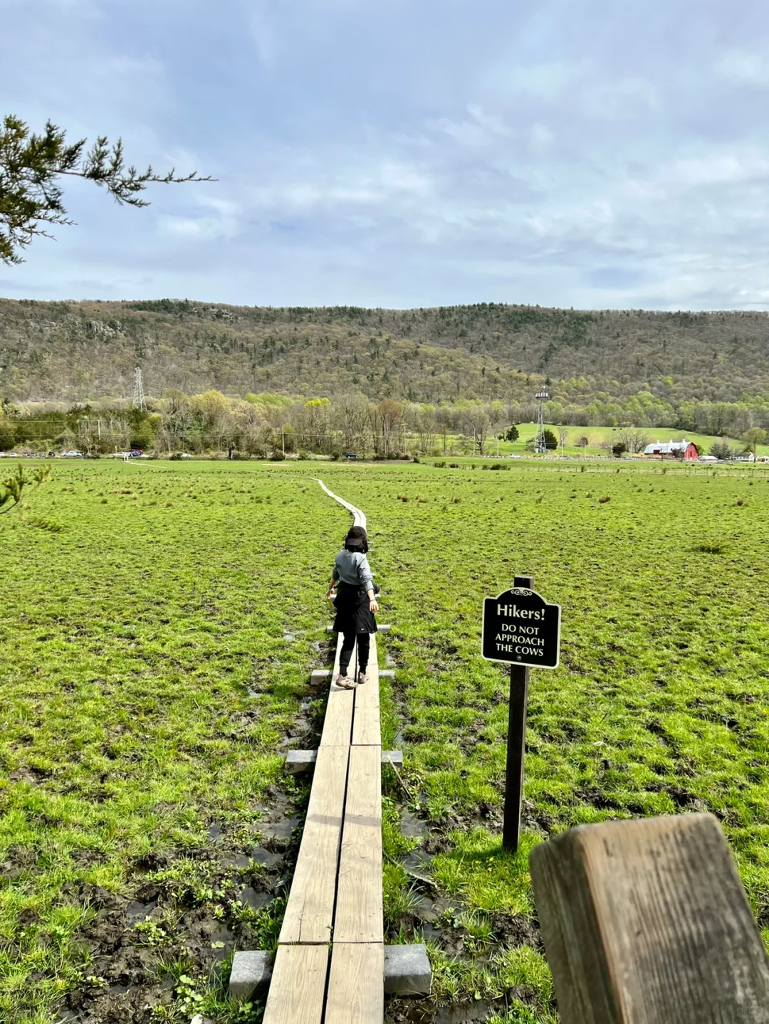 Stairway to Heaven! The #2 Trail Lives Up to Its Reputation 👣