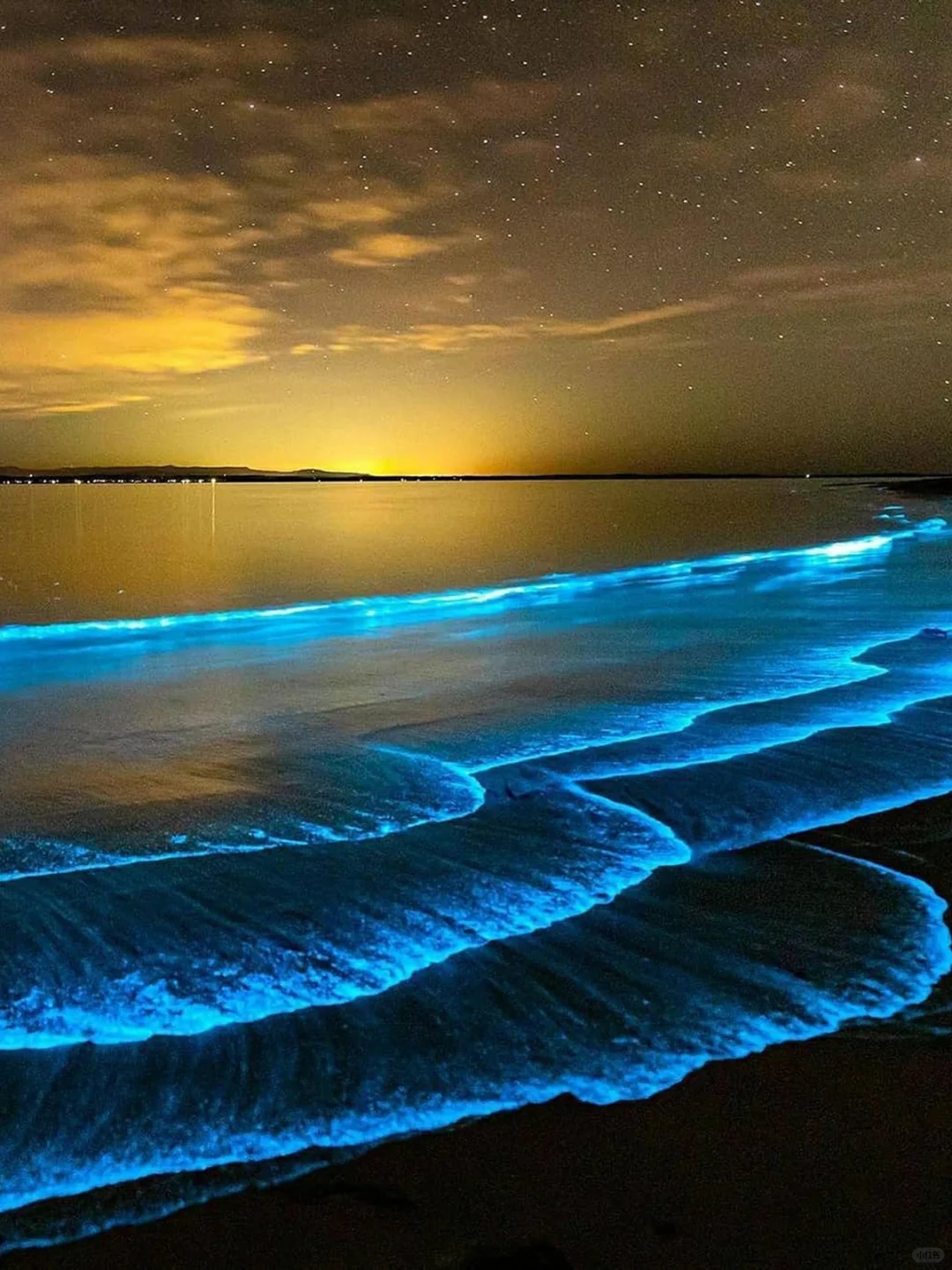 Southern California's Blue Tears Season is Here! 🌟 Ultimate Guide to Chasing the Glow