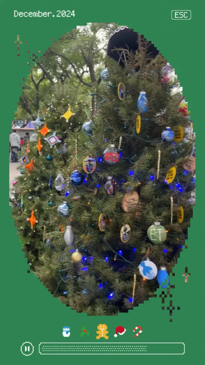 Merry Christmas! 🎄