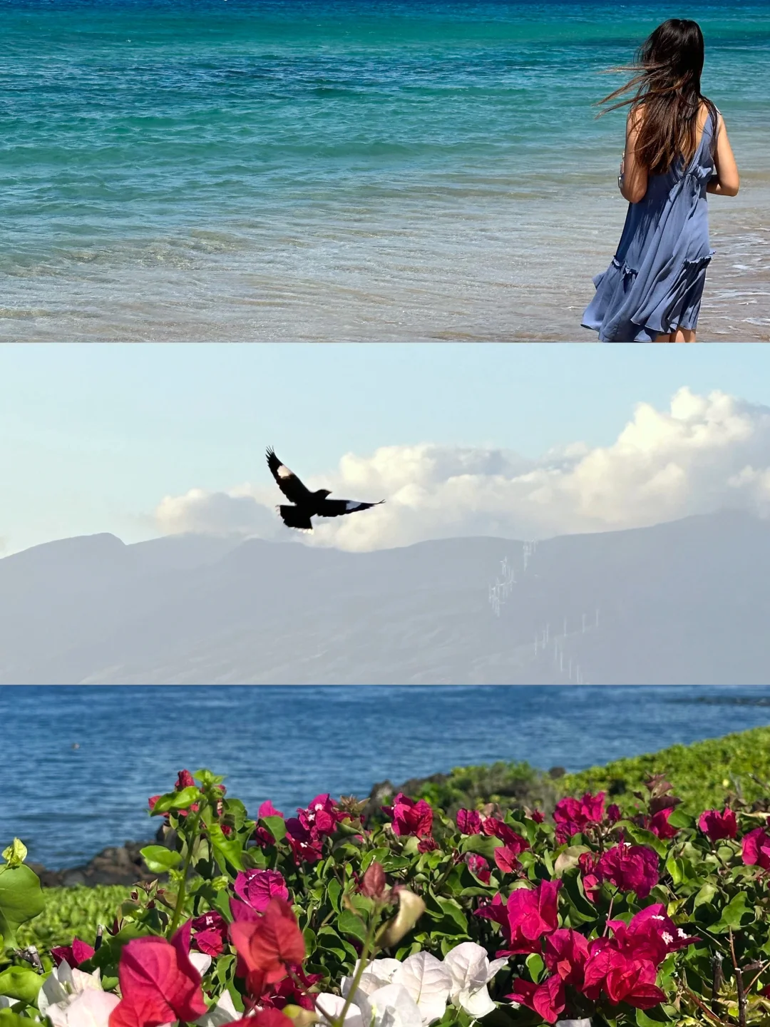 10-Day Travel Guide to Maui, Hawaii 🌺