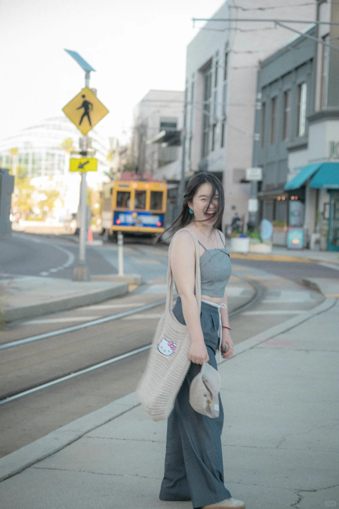 Tampa｜A Downtown Adorned with Phalaenopsis Orchids 🌺