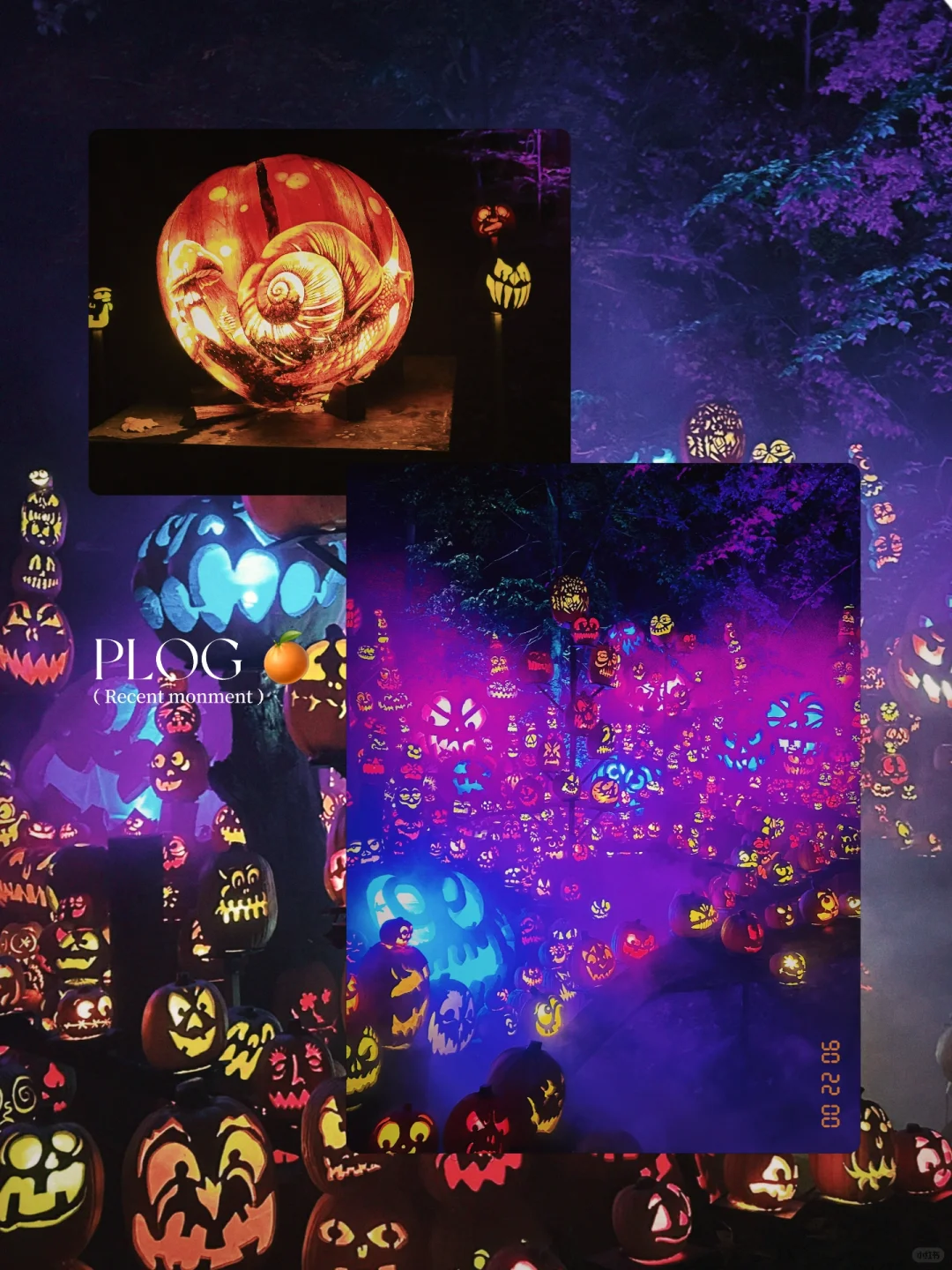 Looking for a Louisville Food, Drinks, and Fun Buddy