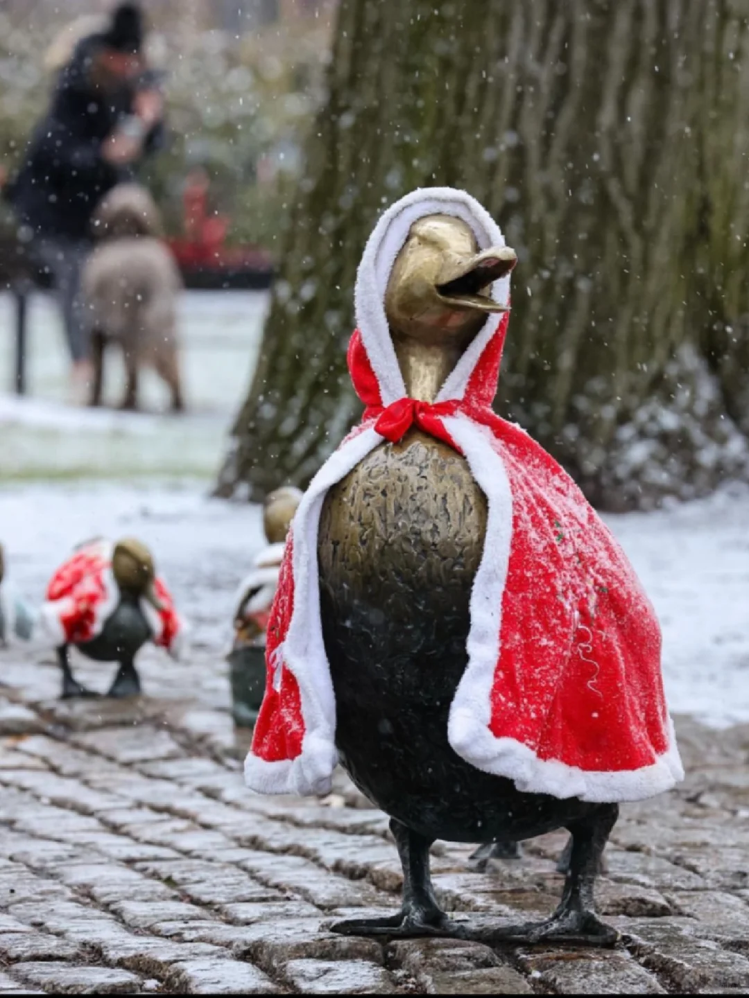 Boston 2023 Lunar New Year Celebration