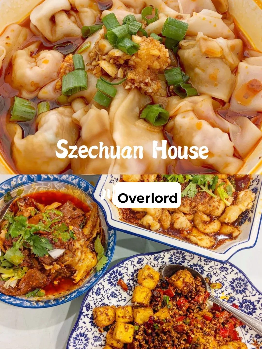 NYC Guide | The Ultimate Collection of Best Sichuan Cuisine 🌶️ If It's Not Delicious, You Can Hit Me
