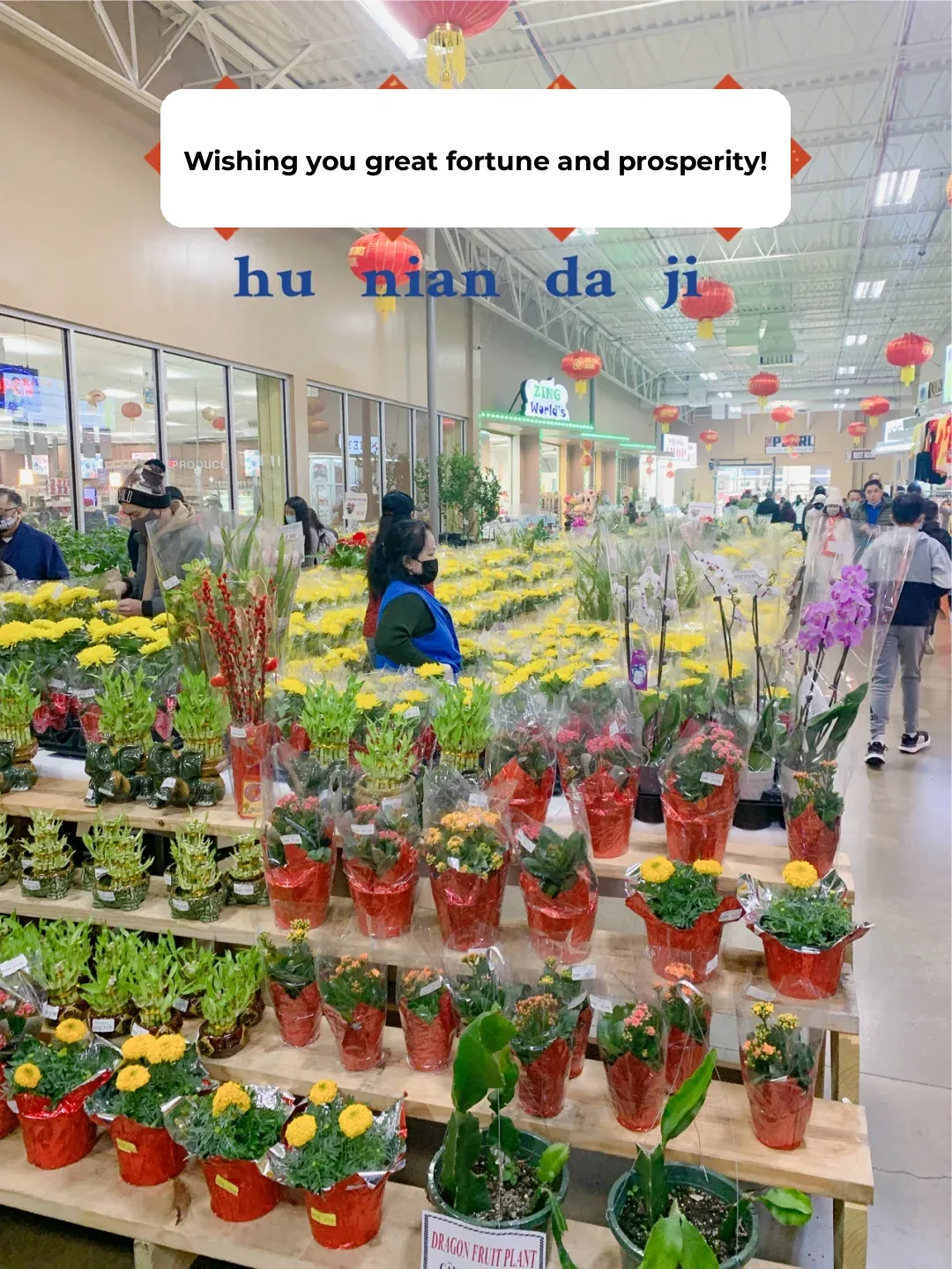 Dallas Embraces Lunar New Year Vibes – Mini Temple Fair Food Street