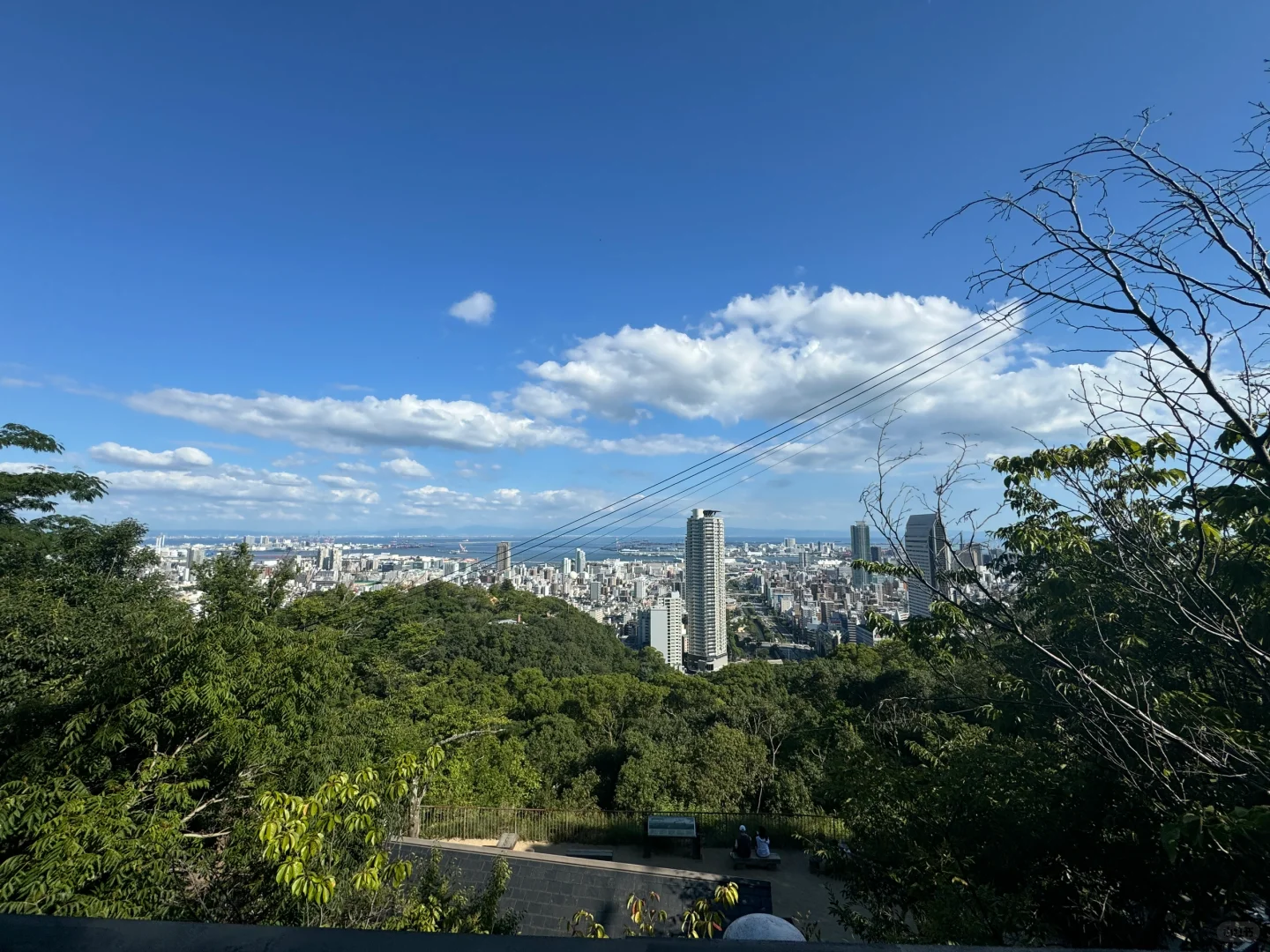 Half-Day Trip Around Osaka: Kobe, the Mountain-Sea Backyard