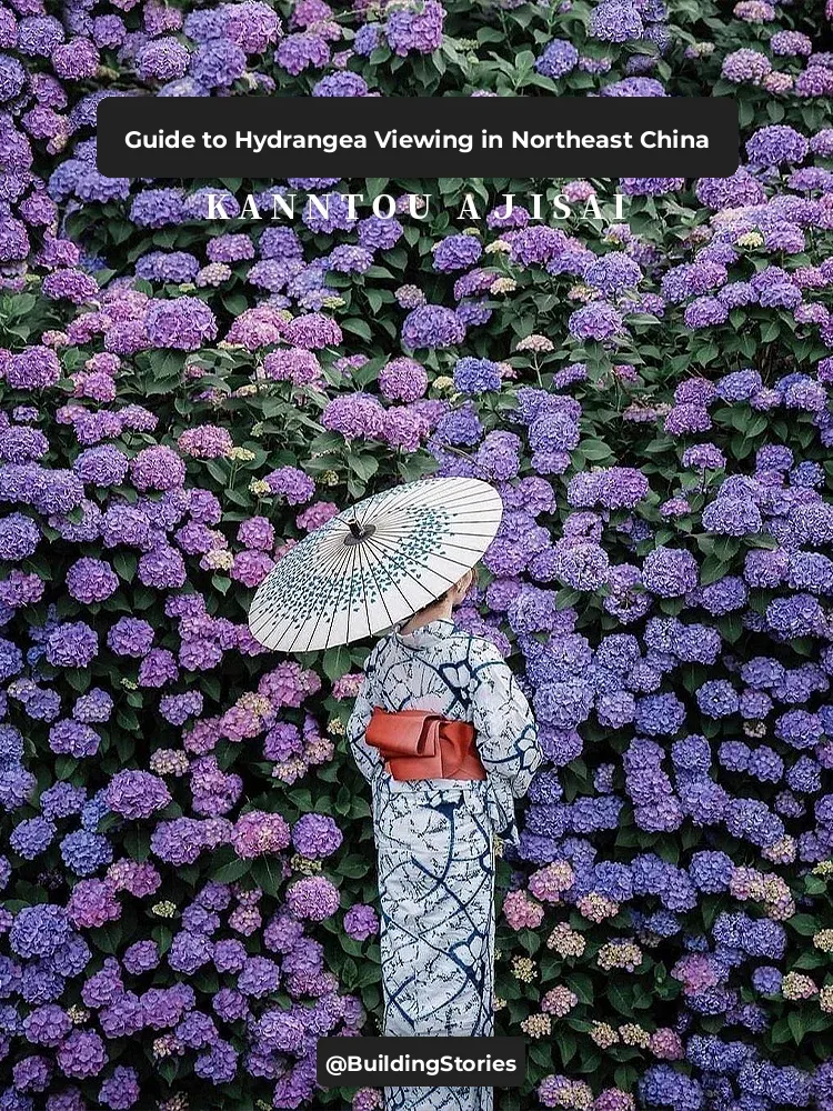 June Summer Trip to Kanto 💜 Hydrangea Hotspots Around Tokyo